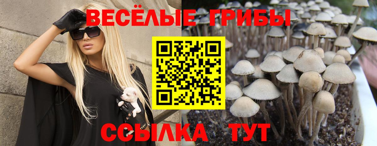 Севастополь  как найти закладки  Вход с VPN  Псилоцибиновые грибы Magic Shrooms 