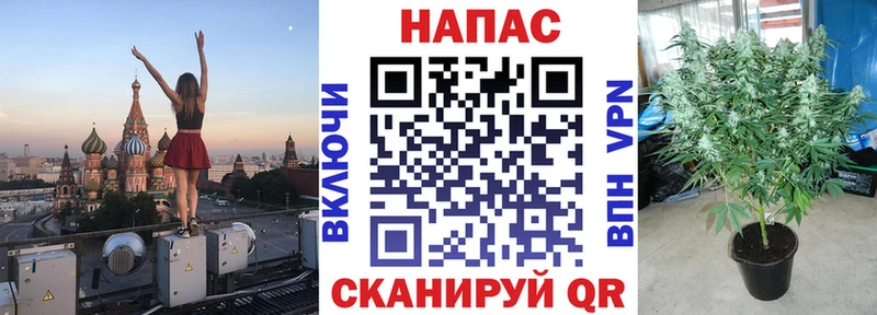 Каннабис индика  мориарти наркотические препараты  Севастополь 